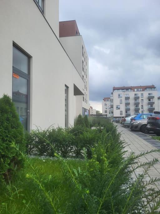 Olive Tree Apartment - Klimatyzacja - Air Conditioning-Self-Check-In คาโตวีตเซ ภายนอก รูปภาพ